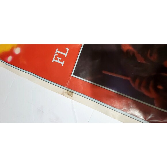 Pink Floyd Dark Side Moon Vinyl Insert Band Poster 20"x30" Psychedelic - Picture 13 of 16